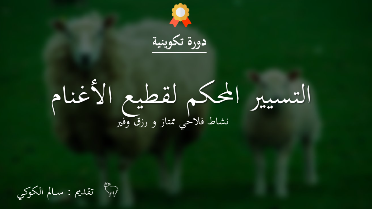 التسيير المحكم لقطيع الأغنام​