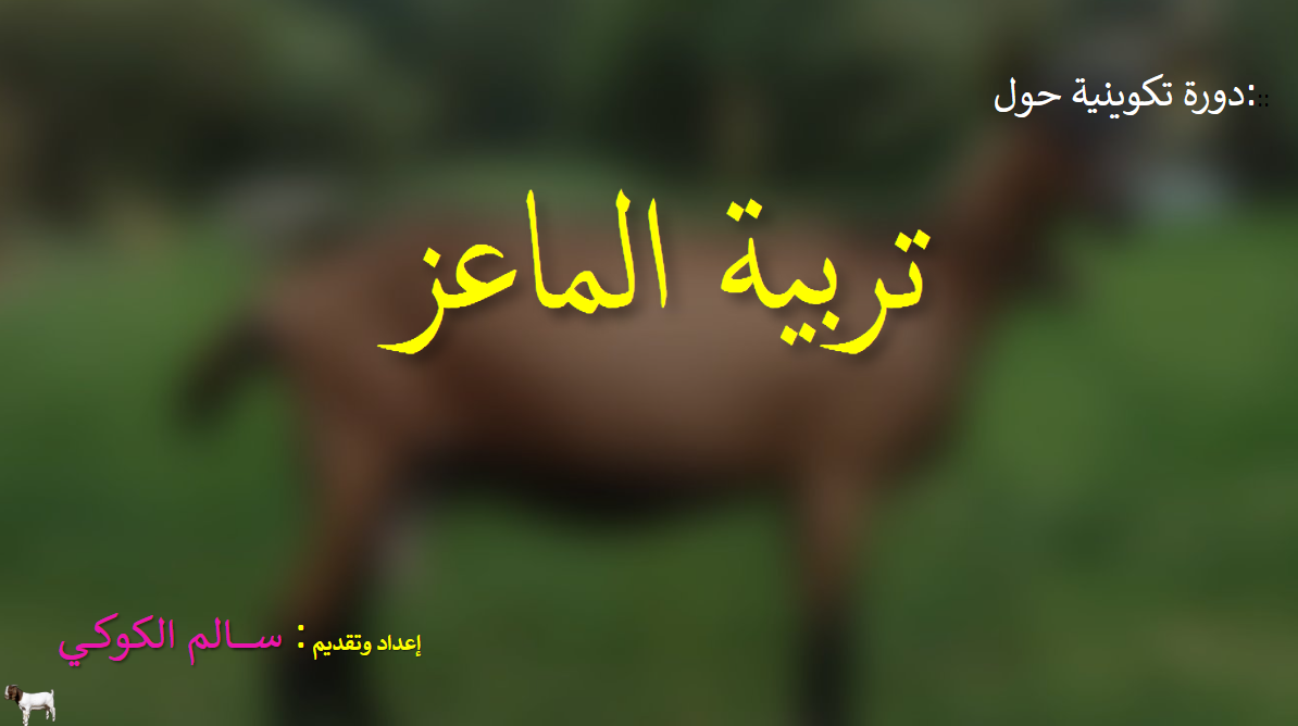 التسيير المحكم لقطيع الأغنام​