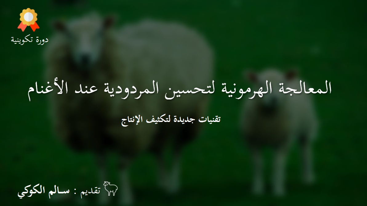 التسيير المحكم لقطيع الأغنام​