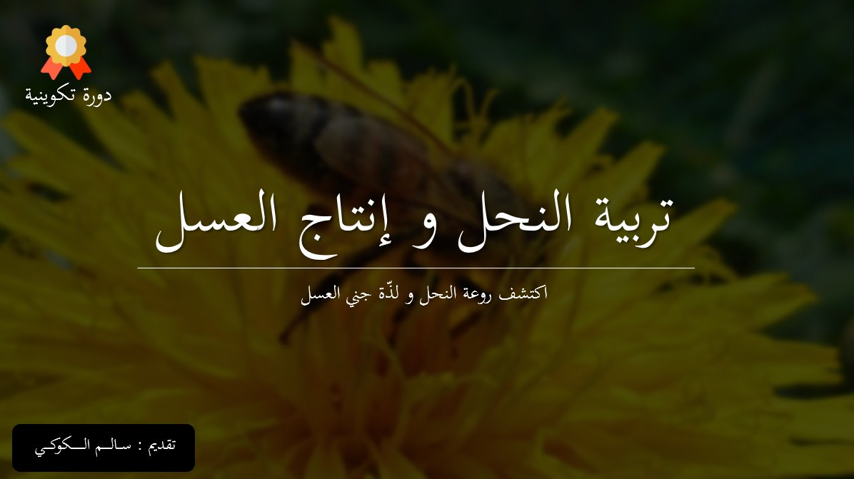 التسيير المحكم لقطيع الأغنام​