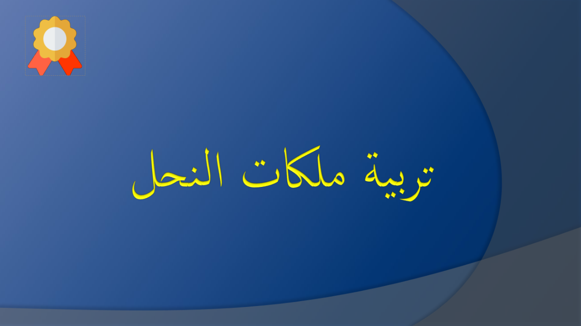 التسيير المحكم لقطيع الأغنام​