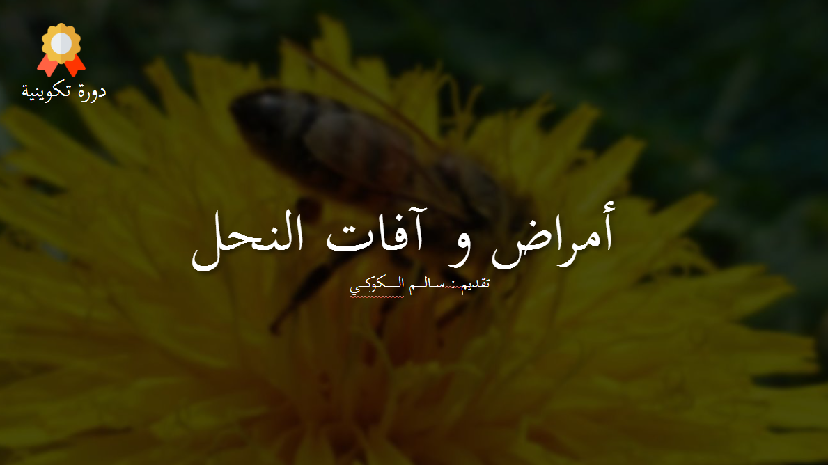 التسيير المحكم لقطيع الأغنام​