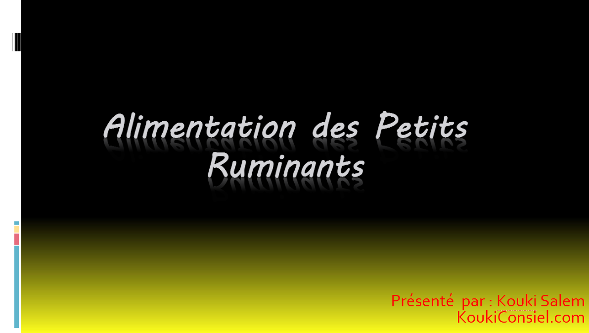 التسيير المحكم لقطيع الأغنام​